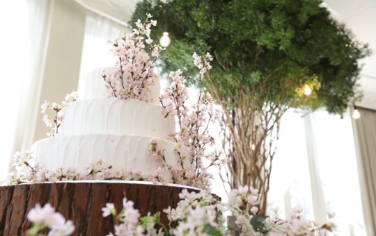 鮮やかなグリーンのツリーをバックに桜のケーキ!!